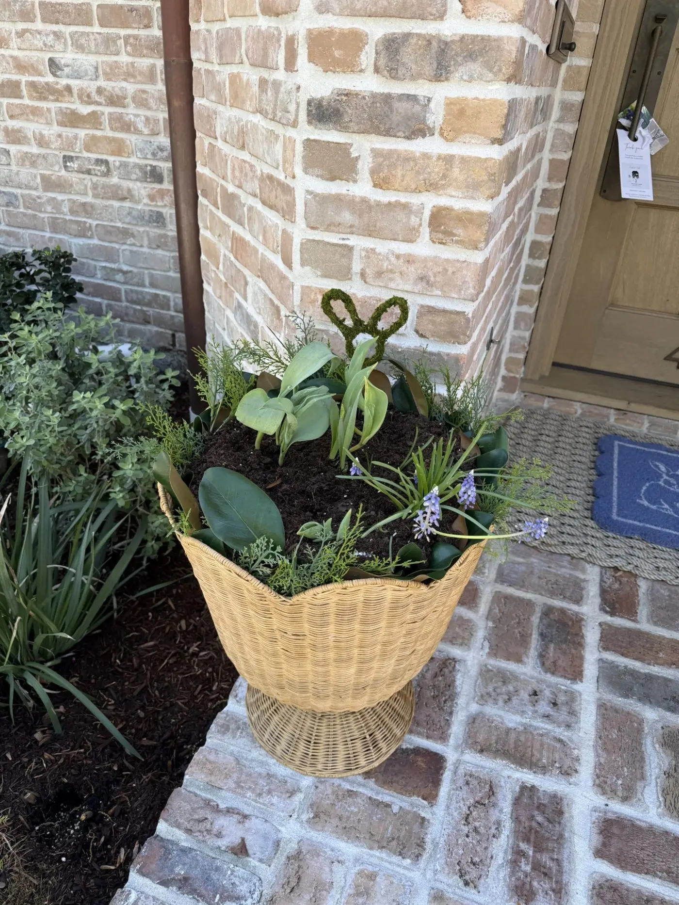 Seasonal planter arrangement in West University