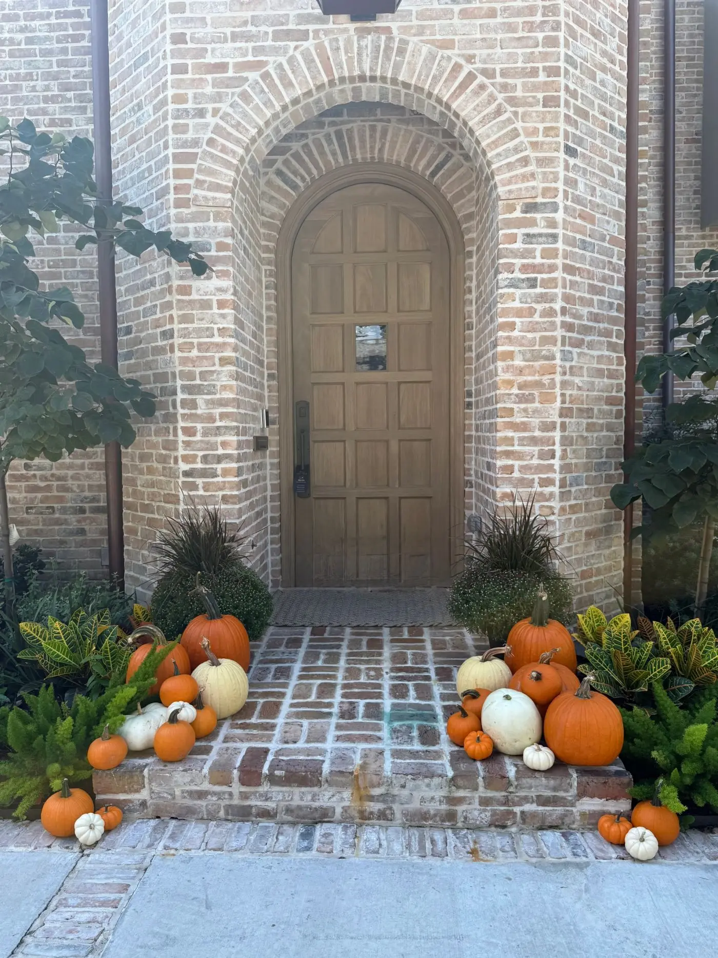 Pumpkin display in West University