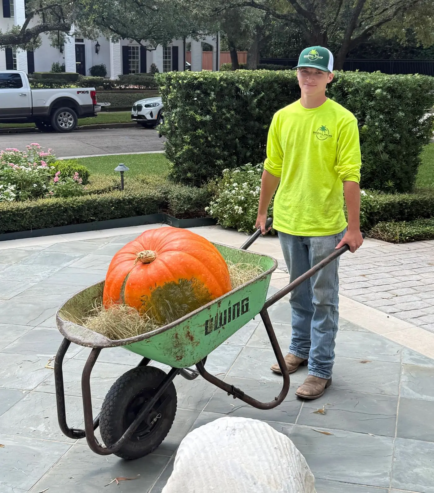 Wheelbarrow of pumpkins ready for install